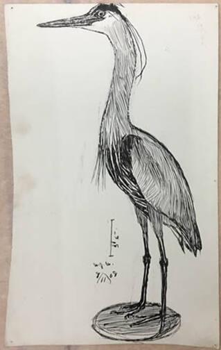 Untitled (heron)