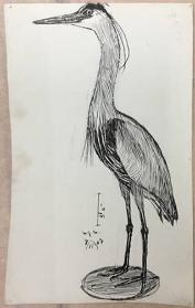 Untitled (heron)