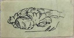 Untitled (sleeping baby)