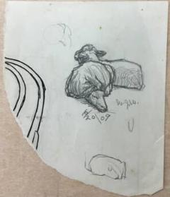 Untitled (sleeping sheep)